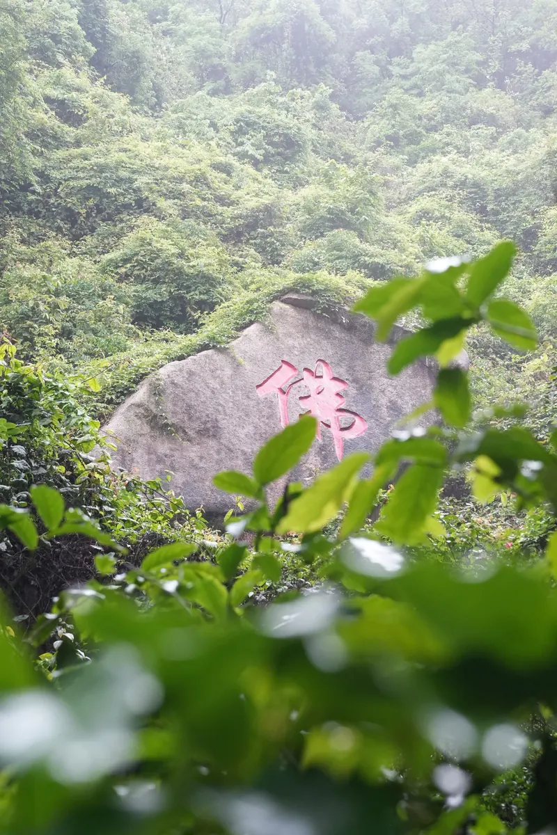 凤凰山 · 作品 05