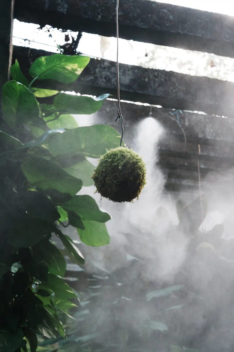 仙湖植物园 · 作品 03
